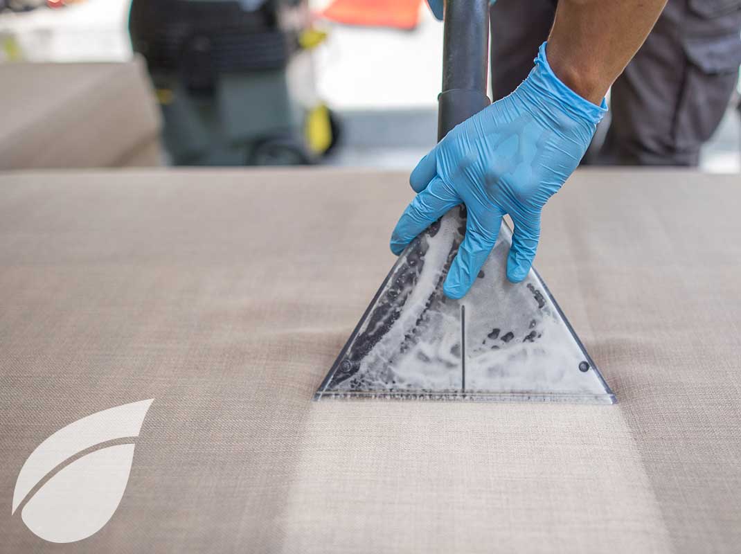 Limpieza de Sofás y Tapicería